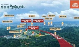 惠州爆料最新消息今天,突发事件引发关注，详情即将揭晓！