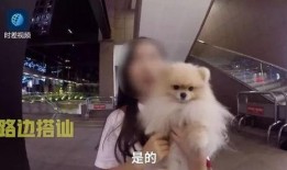 外国渣男爆料视频大全最新,外国渣男爆料视频大全，真实情感陷阱大曝光！